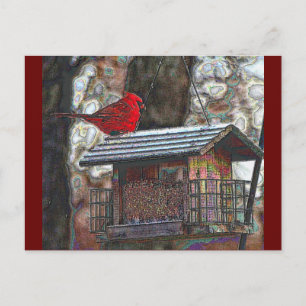 Kardinal auf einem Birdfeeder Postkarte