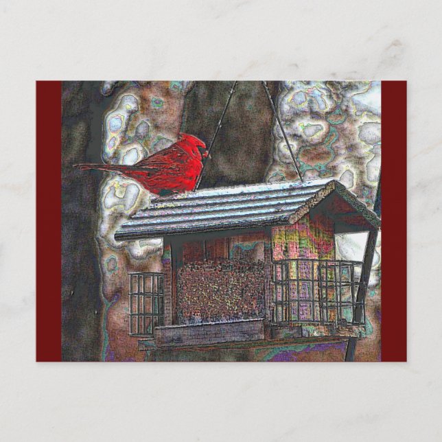 Kardinal auf einem Birdfeeder Postkarte (Vorderseite)