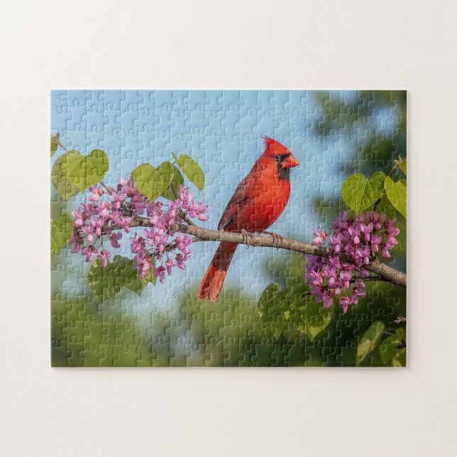 Kardinal auf einem Redbud-Ast (Horizontal)