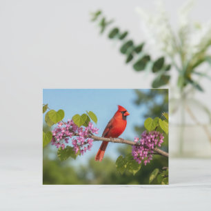 Kardinal auf einem Redbud-Zweig Postkarte
