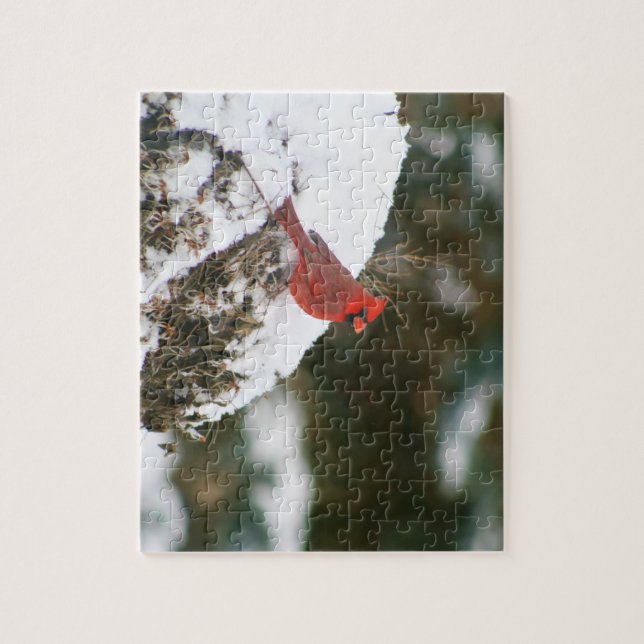 Kardinal auf einem Snowy Bush (Vertikal)