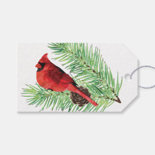 Kardinal auf Evergreen / Personalisierte Geschenkm Geschenkanhänger