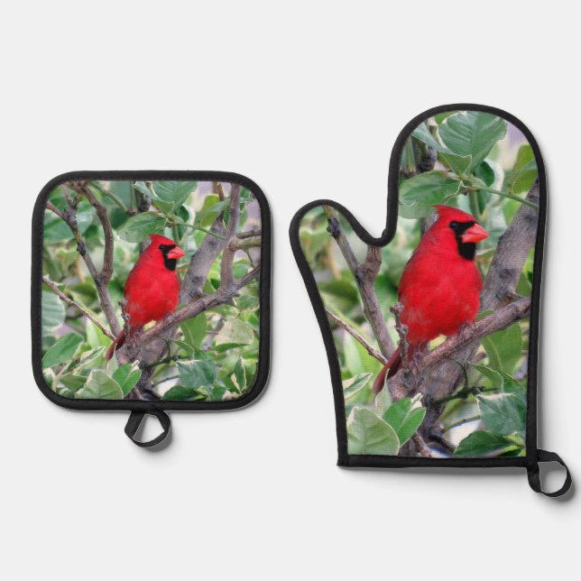 Kardinal - Backyard Bird Series - Ofenhandschuh & Topflappen-Set (Vorderseite)