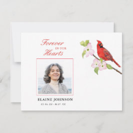 Kardinal Beileid Beerdigung Foto Dankeskarte