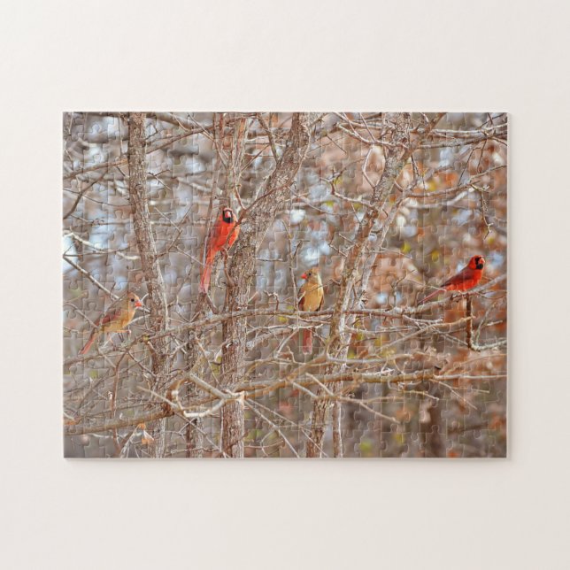 Kardinal Bird Couples Fall Season Tree Nature (Horizontal)