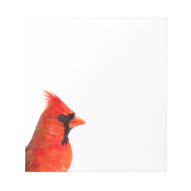 Kardinal Bird Notizblock (Vorderseite)