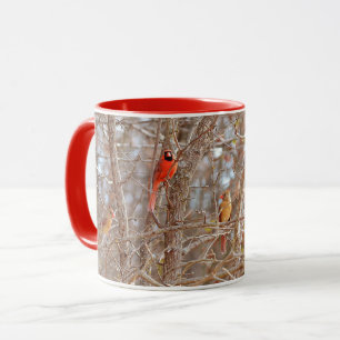 Kardinal Bird Paares Herbst Saison Vier Vogelarten Tasse