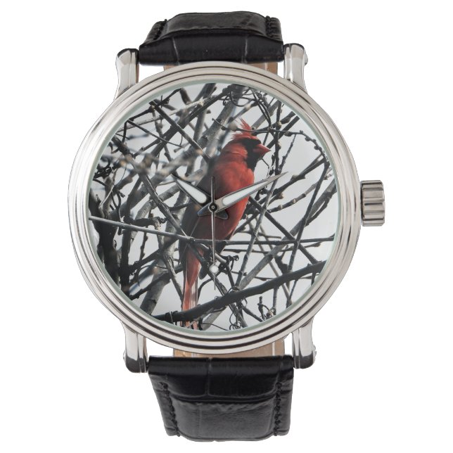 Kardinal Bird Watch Armbanduhr (Vorderseite)