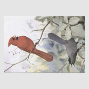 Kardinal Catbird Vintag Bird Decoupage Nature Seidenpapier