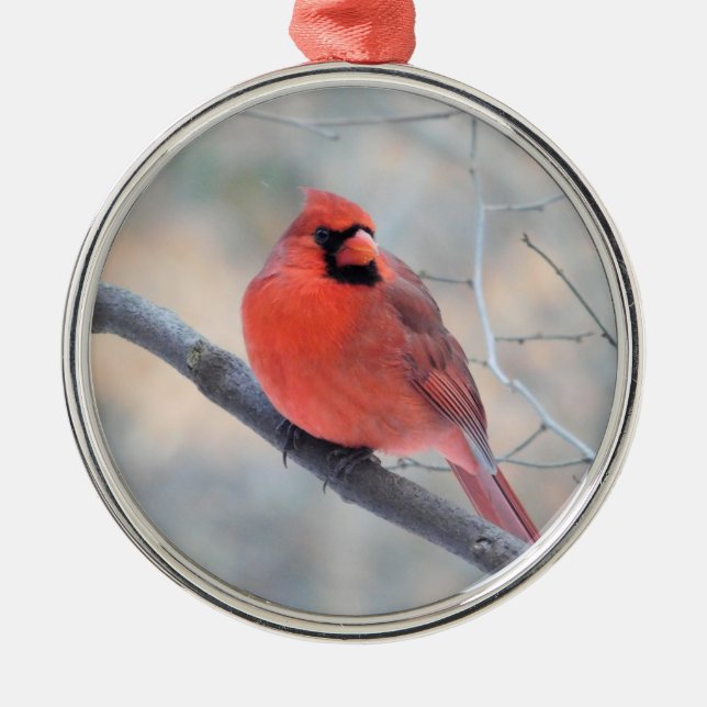 Kardinal Creek Custom Ornament (Vorne)