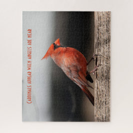 Kardinal erscheinen, wenn Engel in der Nähe sind