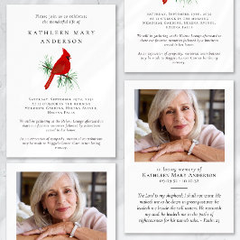 Kardinal-Feier zur Beerdigung des Lebens Einladung