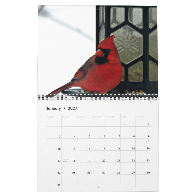 Kardinal Foto 2015 Kalender (Jan 2027)