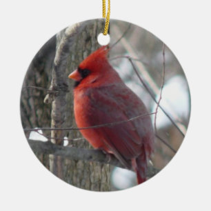 Kardinal Fotografielied Vogel in Winter Verzierung Keramik Ornament