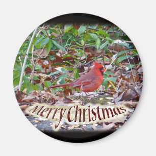 Kardinal Frohe Weihnachtsartikel Magnet