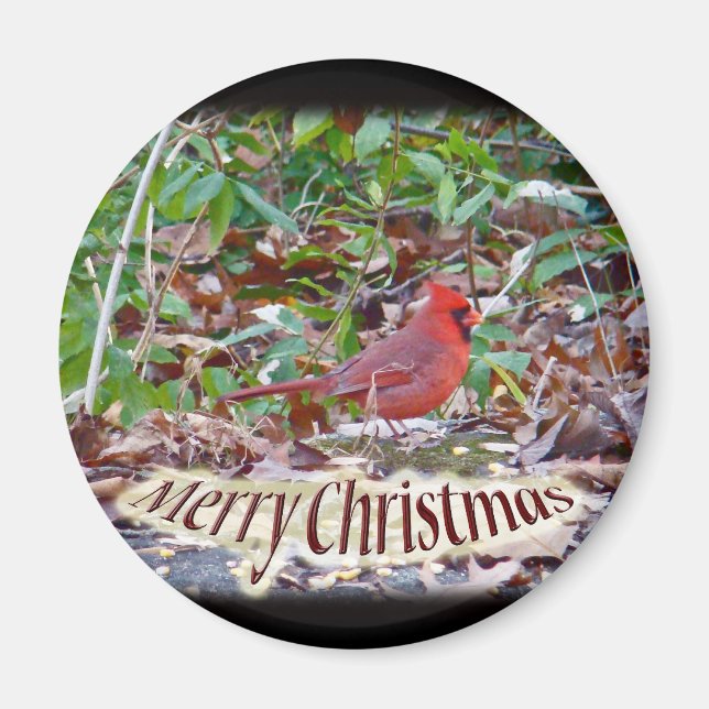 Kardinal Frohe Weihnachtsartikel Magnet (Vorne)