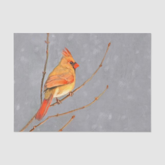 Kardinal für Zweigstellengemälde - Original Vogelk Seidenpapier (Vorderseite)