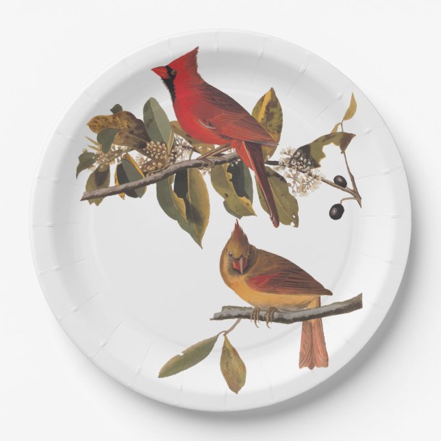 Kardinal Grosbeak Audubon Birds of America Pappteller (Vorderseite)