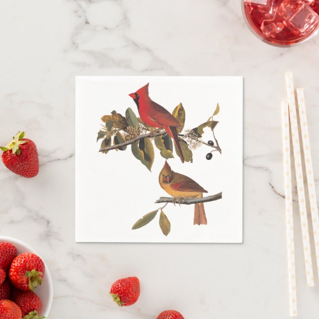 Kardinal Grosbeak Audubon Birds of America Serviette (Beispiel)