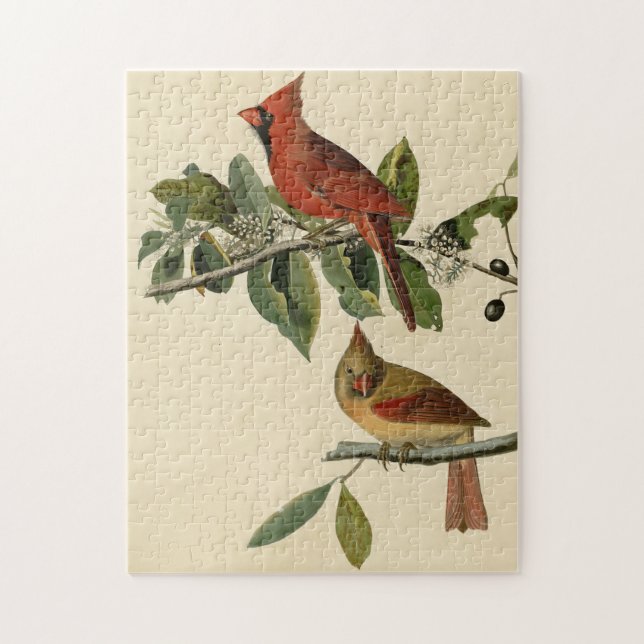 Kardinal Grosbeak von Audubons Vögeln von Amerika (Vertikal)