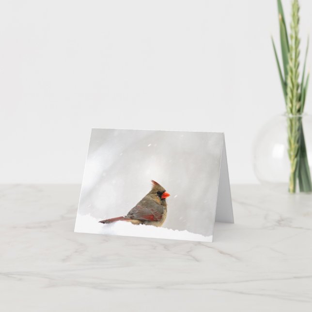 Kardinal-Hinweis/Grußkarte Karte (Vorderseite)