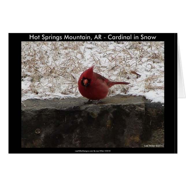 Kardinal Hot Springs Nat. Park Mt AR Geschenke App (Vorderseite (Horizontal))