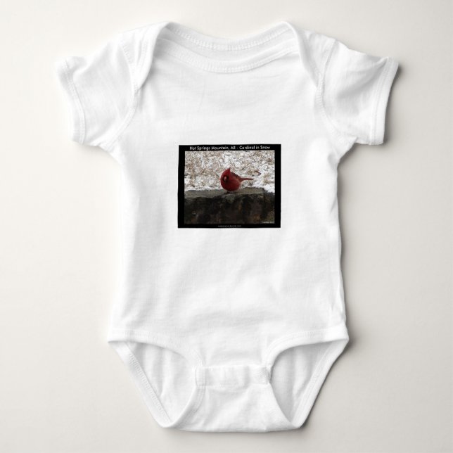 Kardinal Hot Springs Nat. Park Mt AR Geschenke App Baby Strampler (Vorderseite)