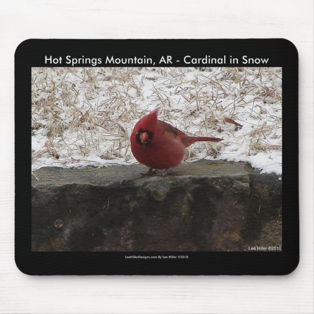 Kardinal Hot Springs Nat. Park Mt AR Geschenke App Mousepad (Vorne)