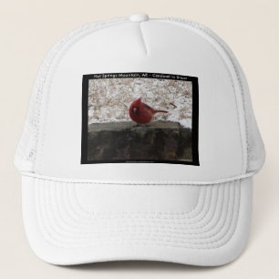 Kardinal Hot Springs Nat. Park Mt AR Geschenke App Truckerkappe