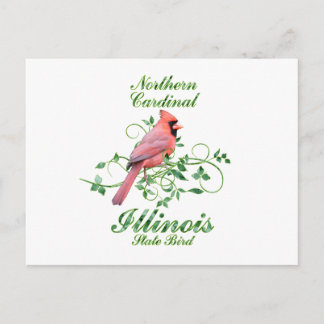 Kardinal Illinois Staat Bird Postkarte