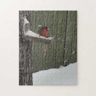Kardinal im Schnee