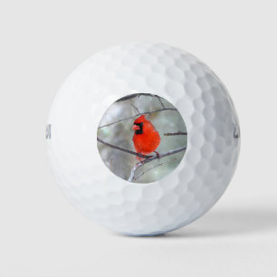 Kardinal im Schnee Golfball