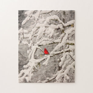 Kardinal im Schnee-Puzzlespiel