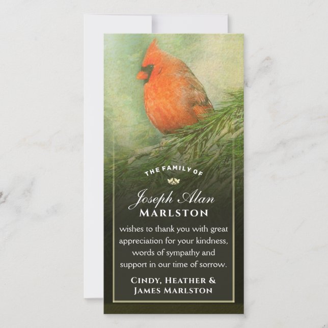 Kardinal im Spruce 4x8 Beileid Vielen Dank Dankeskarte (Vorderseite)