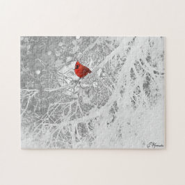 Kardinal im Winter