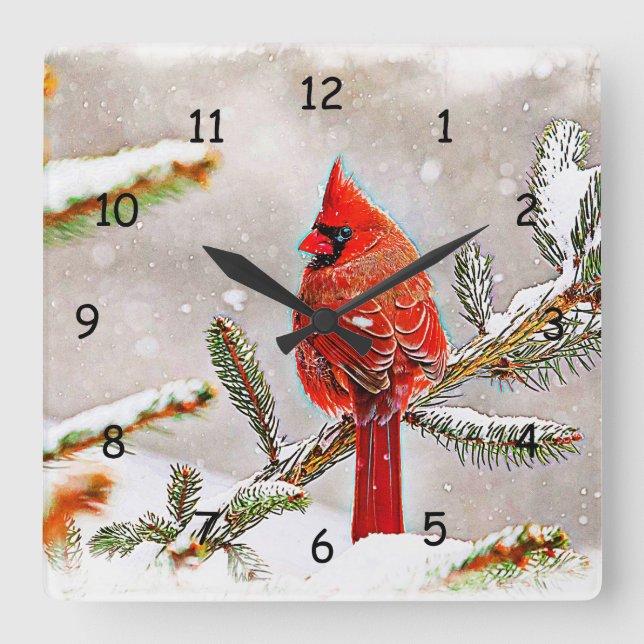 Kardinal im Winter in einem Kiefernwald Quadratische Wanduhr (Vorderseite)