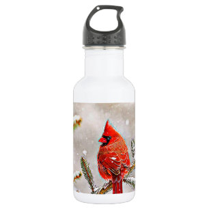 Kardinal im Winter in einem Kiefernwald Trinkflasche