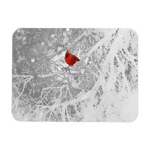 Kardinal im Winter Magnet