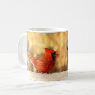 Kardinal in der Tasse Herbst