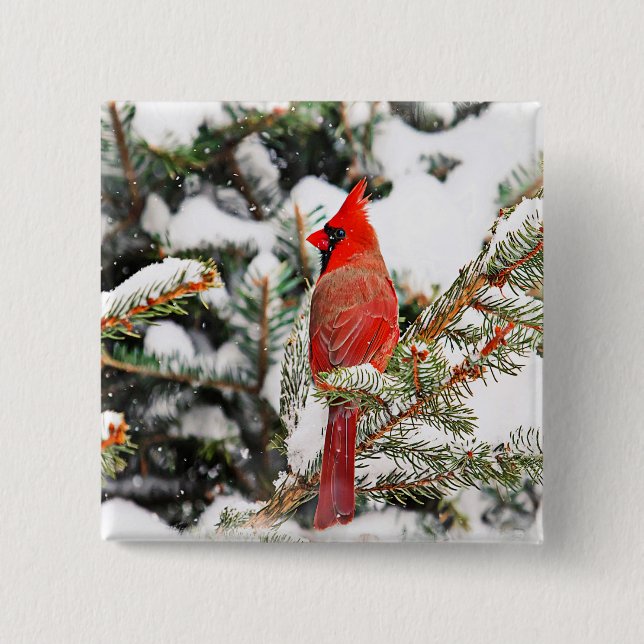 Kardinal in einem Kiefernbaum Button (Vorderseite)