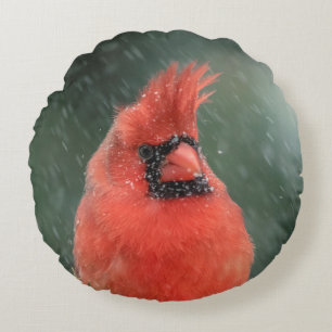 Kardinal in einem Kiefernbaum während eines Schnee Rundes Kissen