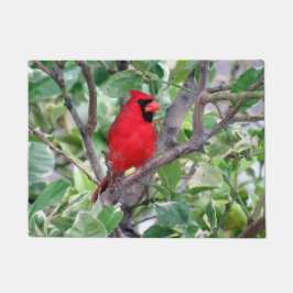 Kardinal in einem Zitronenbaum - Doormat Fußmatte