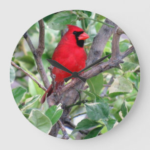 Kardinal in einem Zitronenbaum - Vogel - Wall-Uhr Große Wanduhr