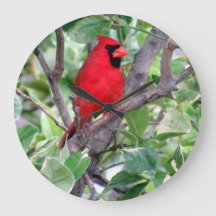 Kardinal in einem Zitronenbaum - Vogeluhr im Hinte