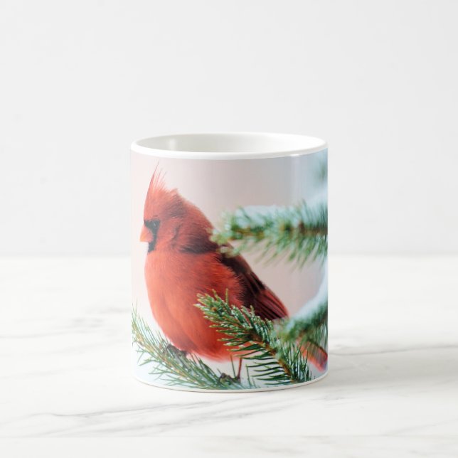 Kardinal in Schnee abgewischter Tanne Kaffeetasse (Mittel)