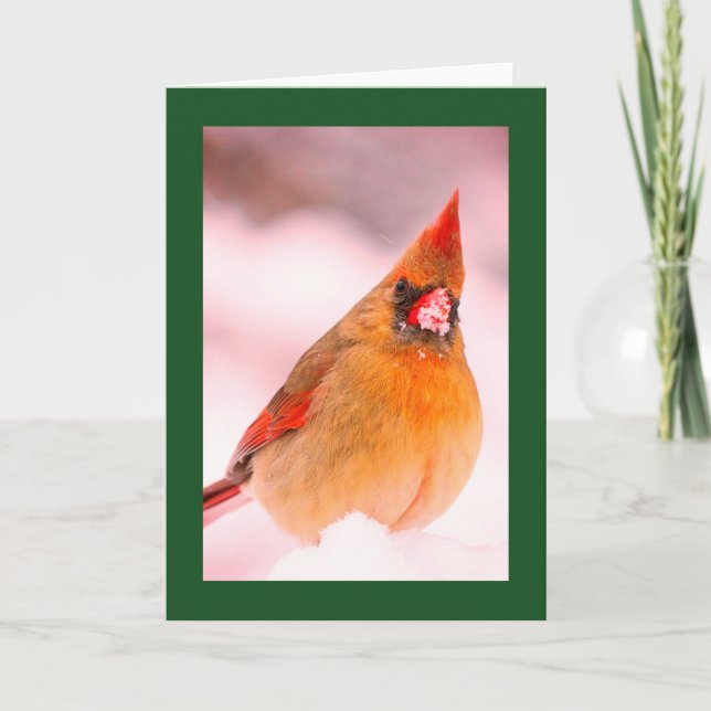 KARDINAL IN SCHNEEBLANK CHRISTMAS CARD (Vorderseite)