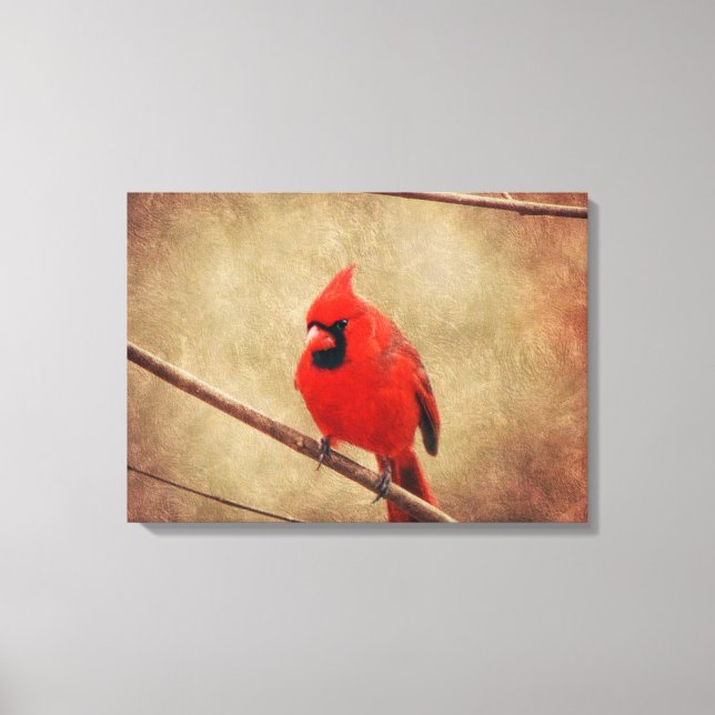 Kardinal Leinwanddruck (Vorderseite)