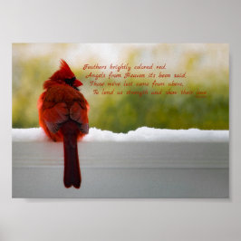 Kardinal mit Besucher aus dem Himmel Gedicht 7x5 Poster