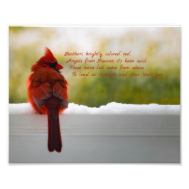 Kardinal mit Besucher aus dem Himmel Gedicht 8x10 Fotodruck