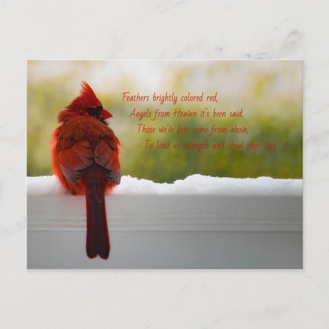 Kardinal mit dem Besucher aus dem Himmel Gedicht Postkarte (Vorderseite)